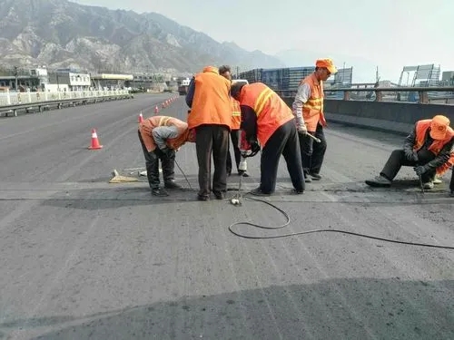 抚远道路桥梁病害治理